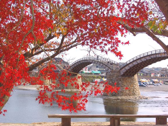 autumn maple and bridge