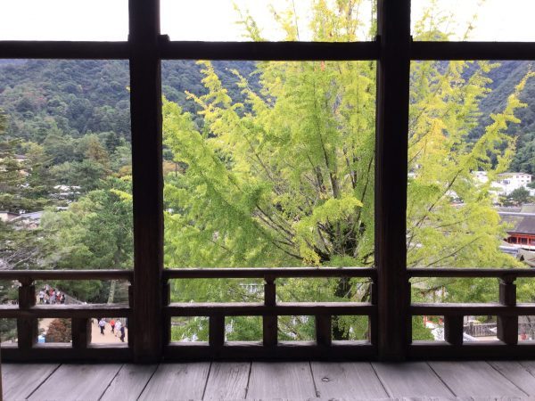 View from Hokoku shrine